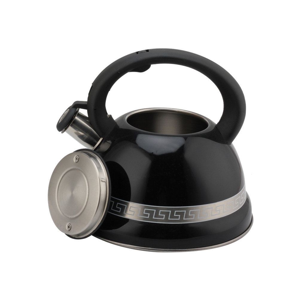 Kettle With Whistle, Suitable for Induction, 3L, Stainless Steel