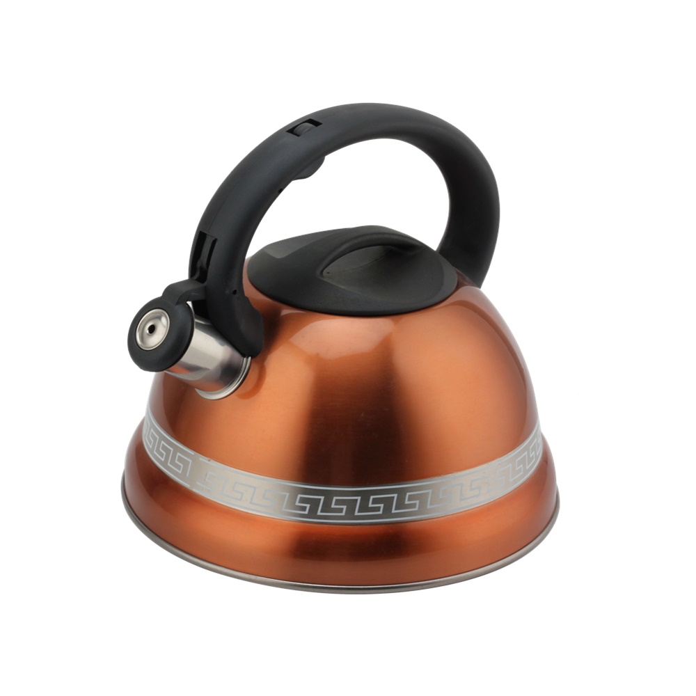 Kettle With Whistle, Suitable for Induction, 3L, Stainless Steel