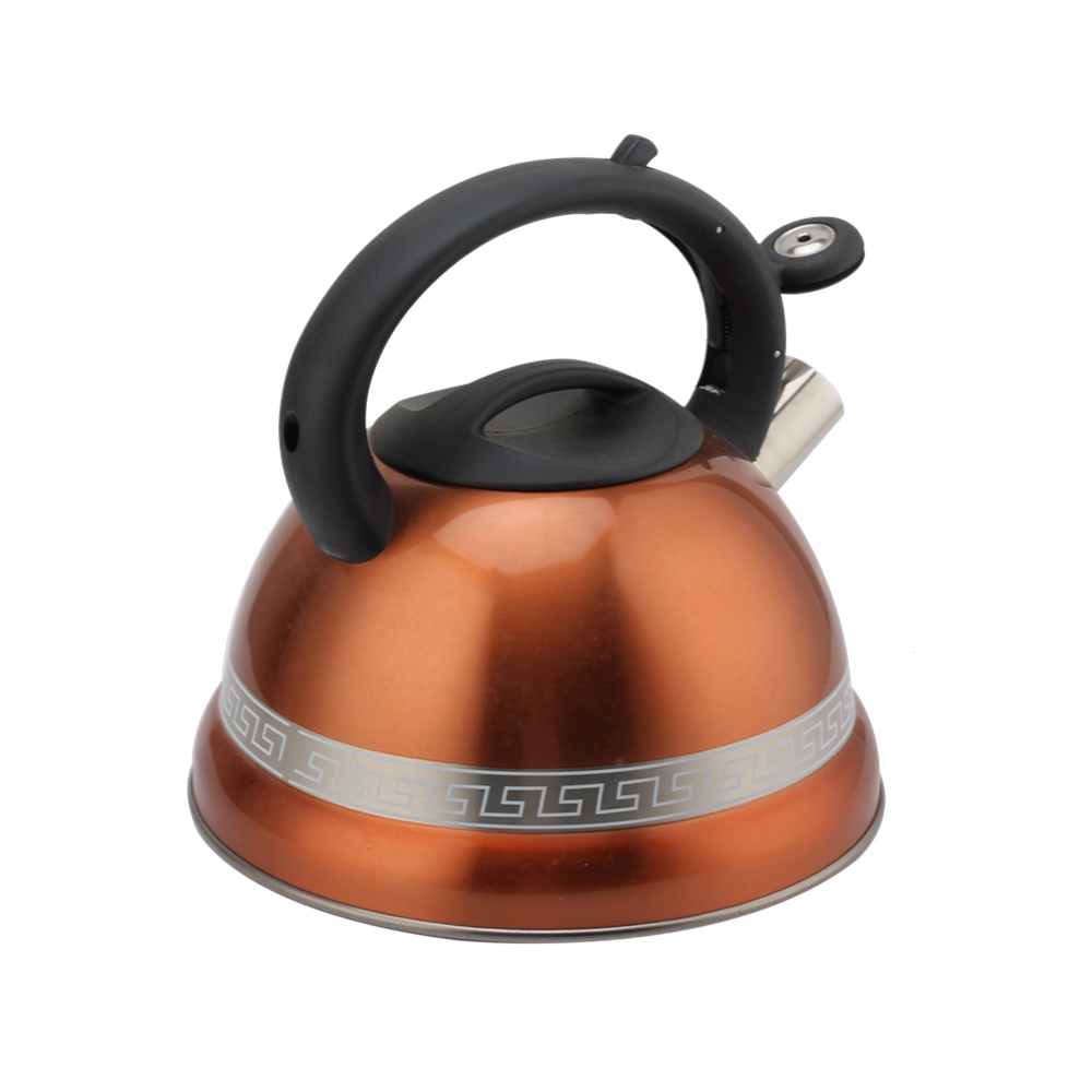 Kettle With Whistle, Suitable for Induction, 3L, Stainless Steel