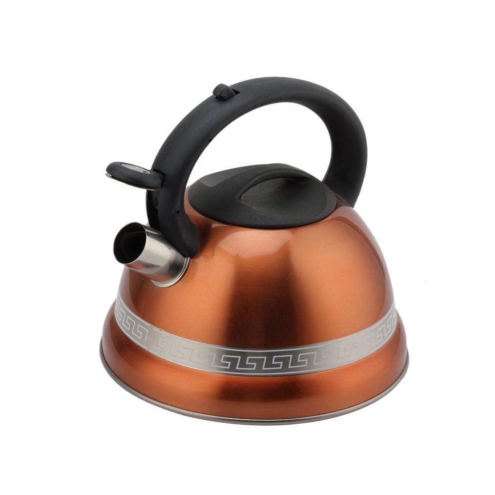 Kettle With Whistle, Suitable for Induction, 3L, Stainless Steel