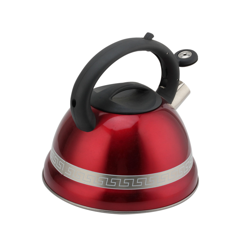 Stainless Steel Kettle With Induction Cooker-Suitable for All Hob Types