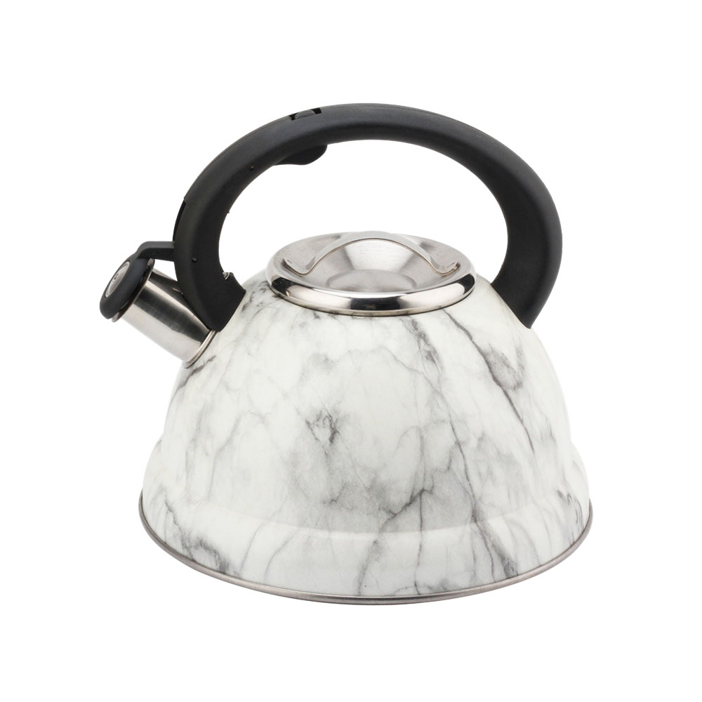 Modern Fashionable Whistling Kettle- Stainless Steel-Tea Set