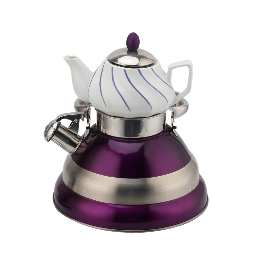 Fancy Special Whistling Kettle-Stainless Steel-Double