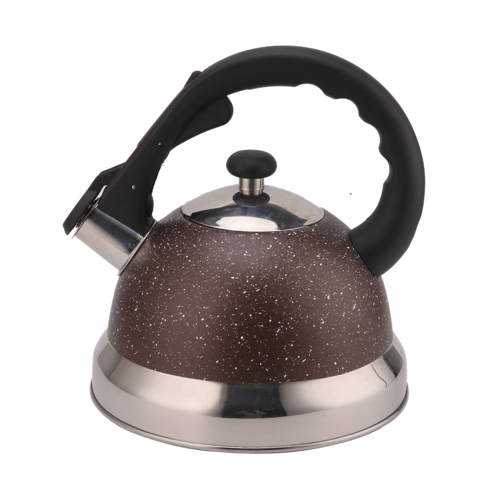 3 Litre Capacity Stainless Steel Whistling Kettle