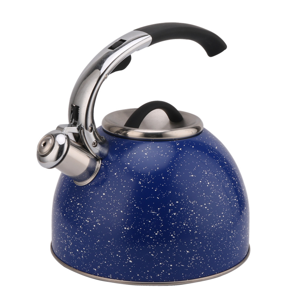 3 Litre Capacity Stainless Steel Whistling Tea Kettle-Blue