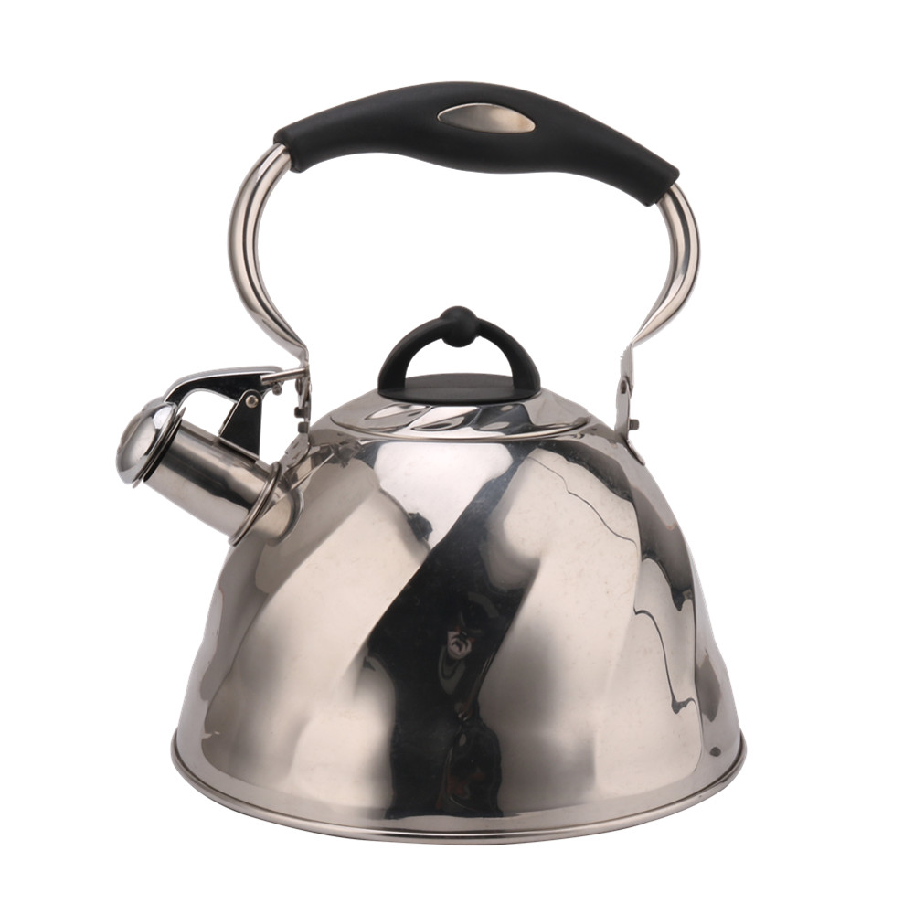 Whistling Kettle for Tea & Coffee With Silicone Handle-Silver