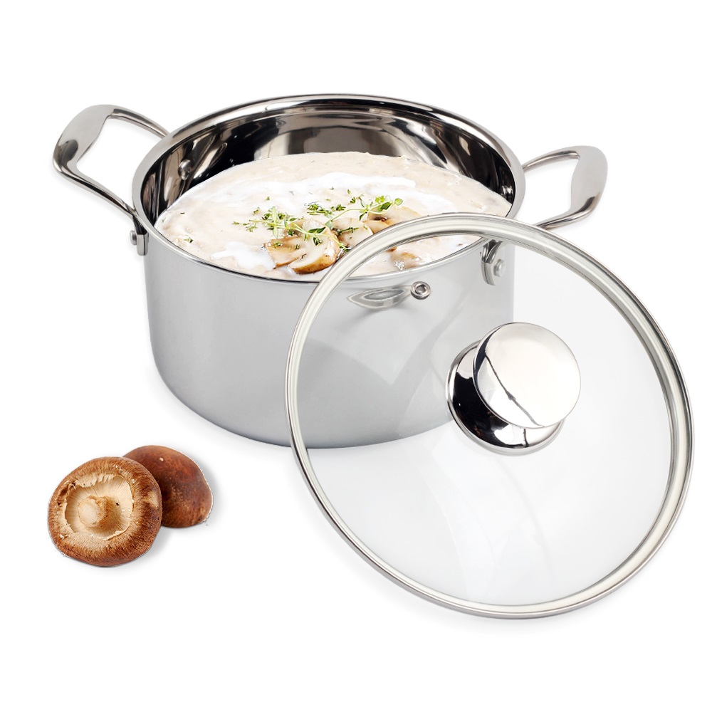 Tri-Ply Stainless Steel Induction Stock Pot With Lid