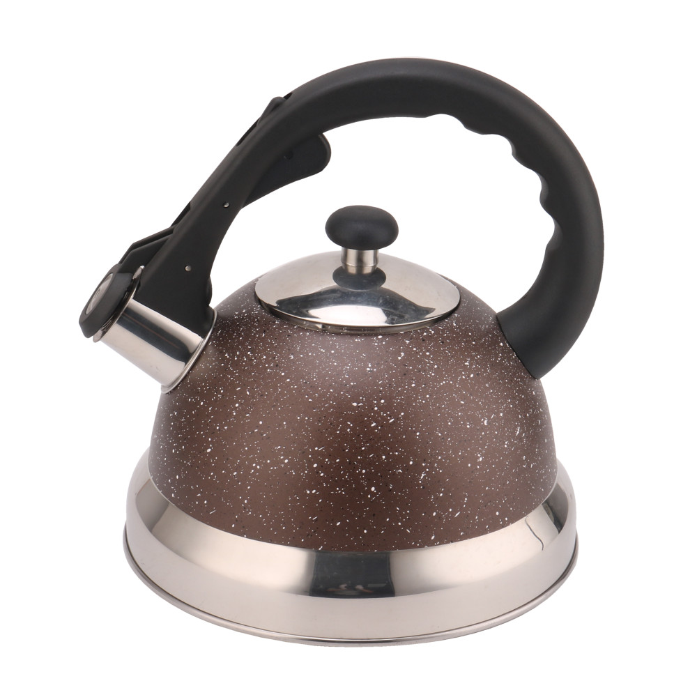 Stainless Steel Whistling Tea Kettle With Silicone Handle Coffee And Tea Sets