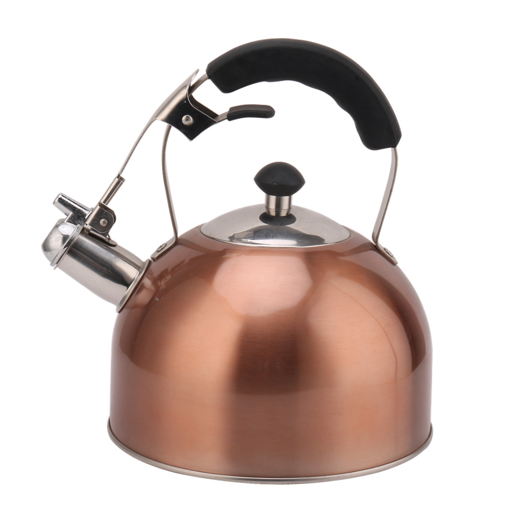 Stainless Steel Whistling Tea Kettle for Stove