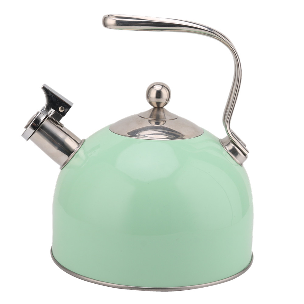 Stainless Steel Whistling Tea Kettle-Kettle With Flute-Scratch Resistant