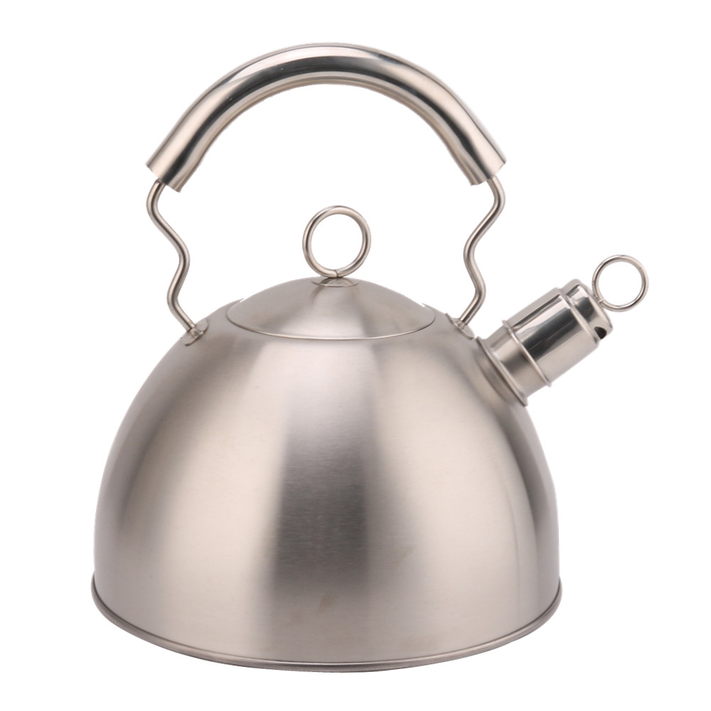 Silver-Stainless Steel Whistling Tea Kettle