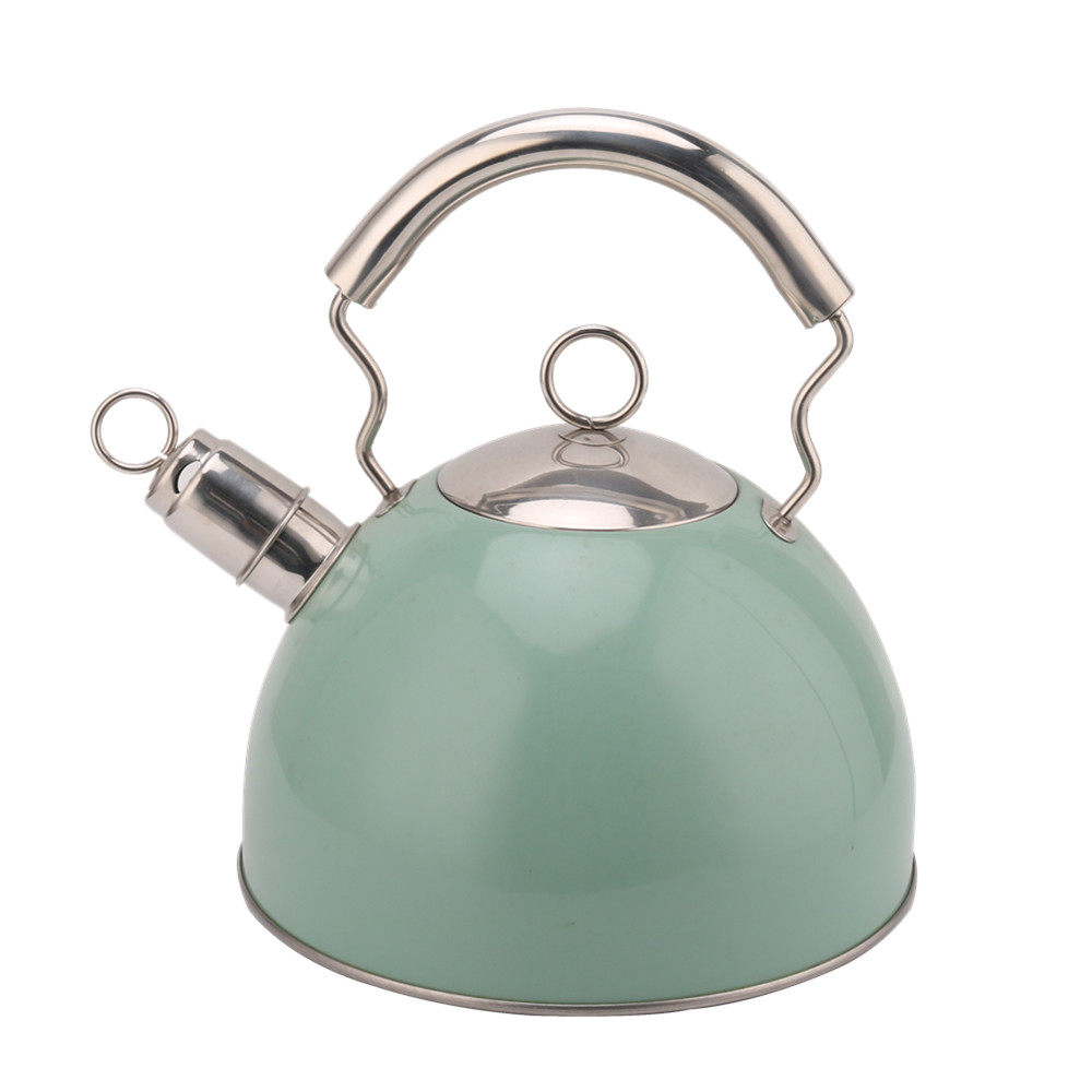 Kettle Induction-Whistling Kettle Made of Stainless Steel