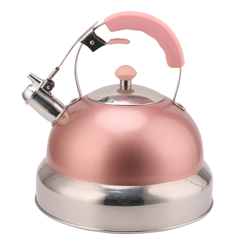 Kettle Induction-Stainless Steel Tea Kettle-Pink Color