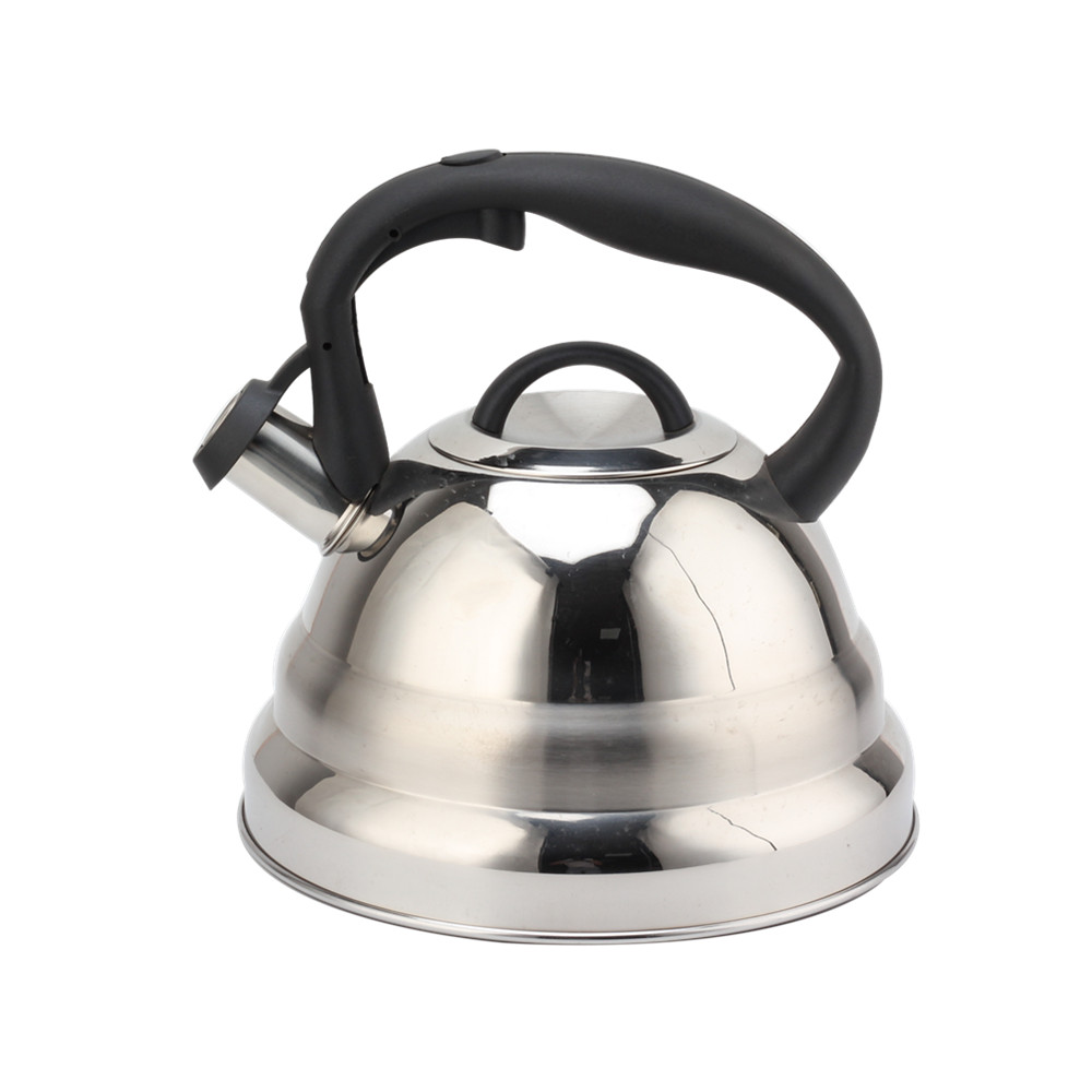 Induction Kettle, Whistling Kettle, Stainless Steel, Silver, 3 L