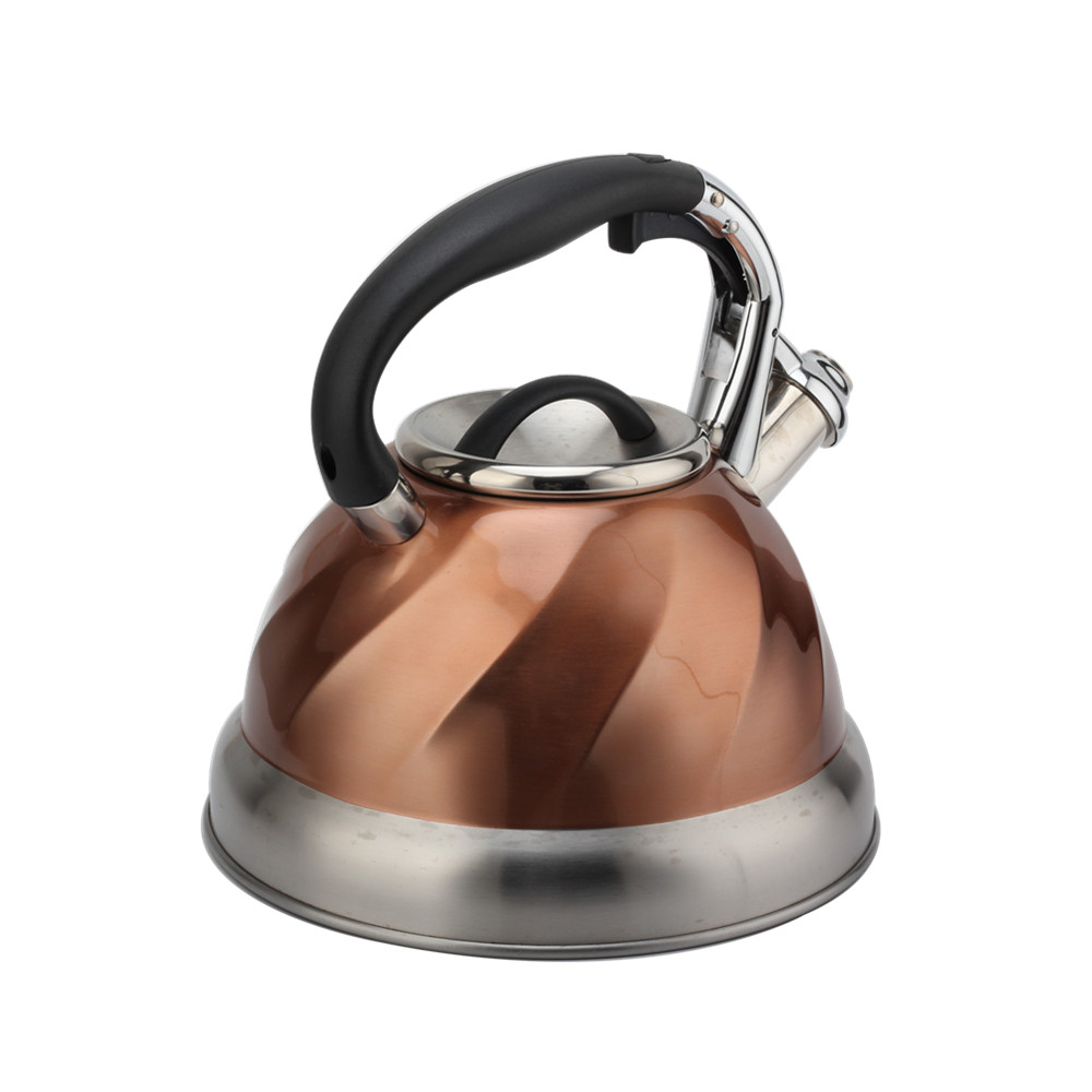 Whistling Tea Kettle, Whistling Kettle for Kitchen