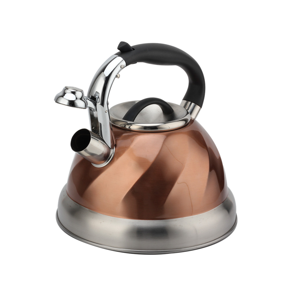 Whistling Tea Kettle, Whistling Kettle for Kitchen