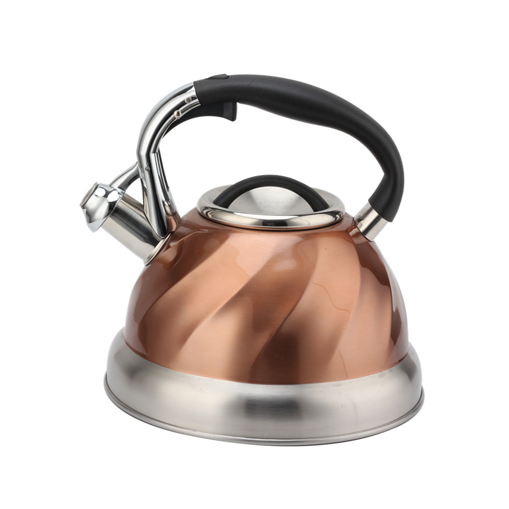 Whistling Tea Kettle, Whistling Kettle for Kitchen