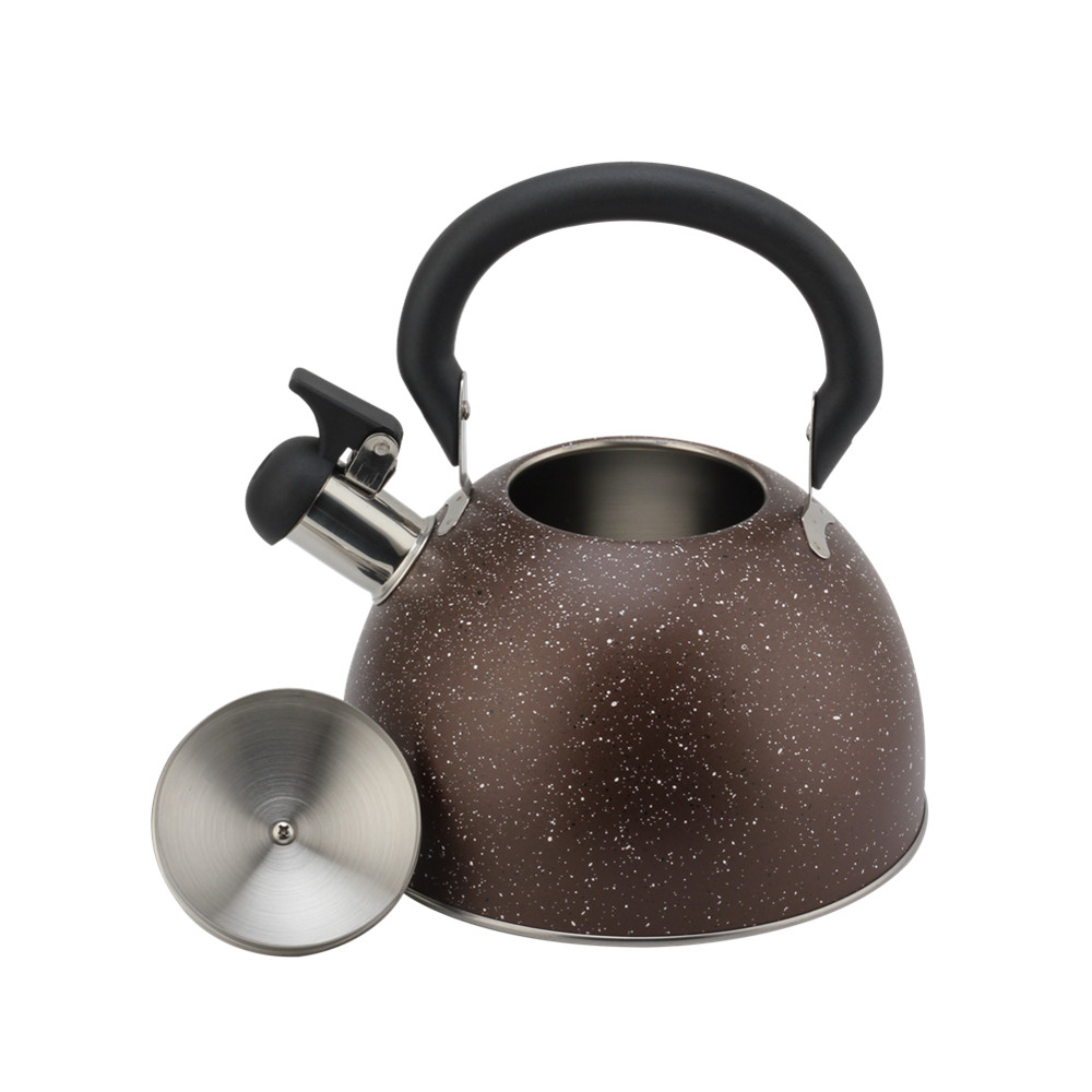 Conventional Stainless Steel Whistling Kettle ,Large Capacity