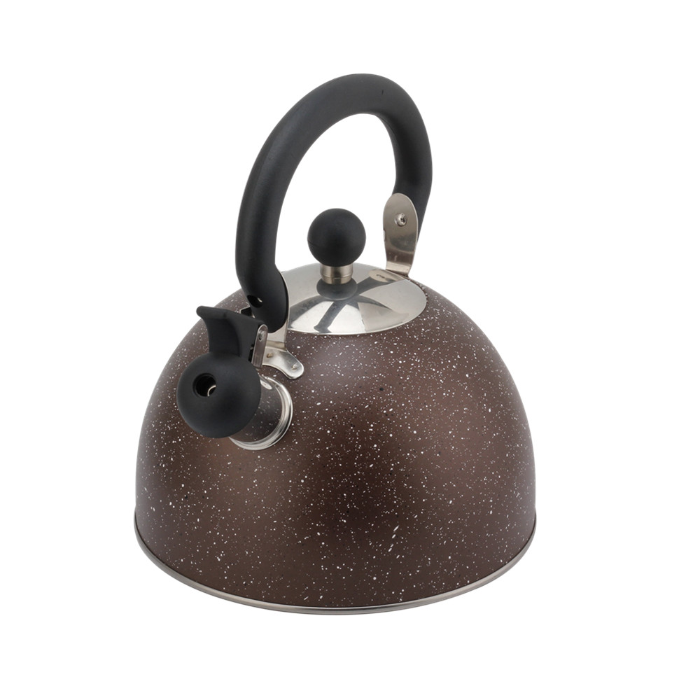 Conventional Stainless Steel Whistling Kettle ,Large Capacity