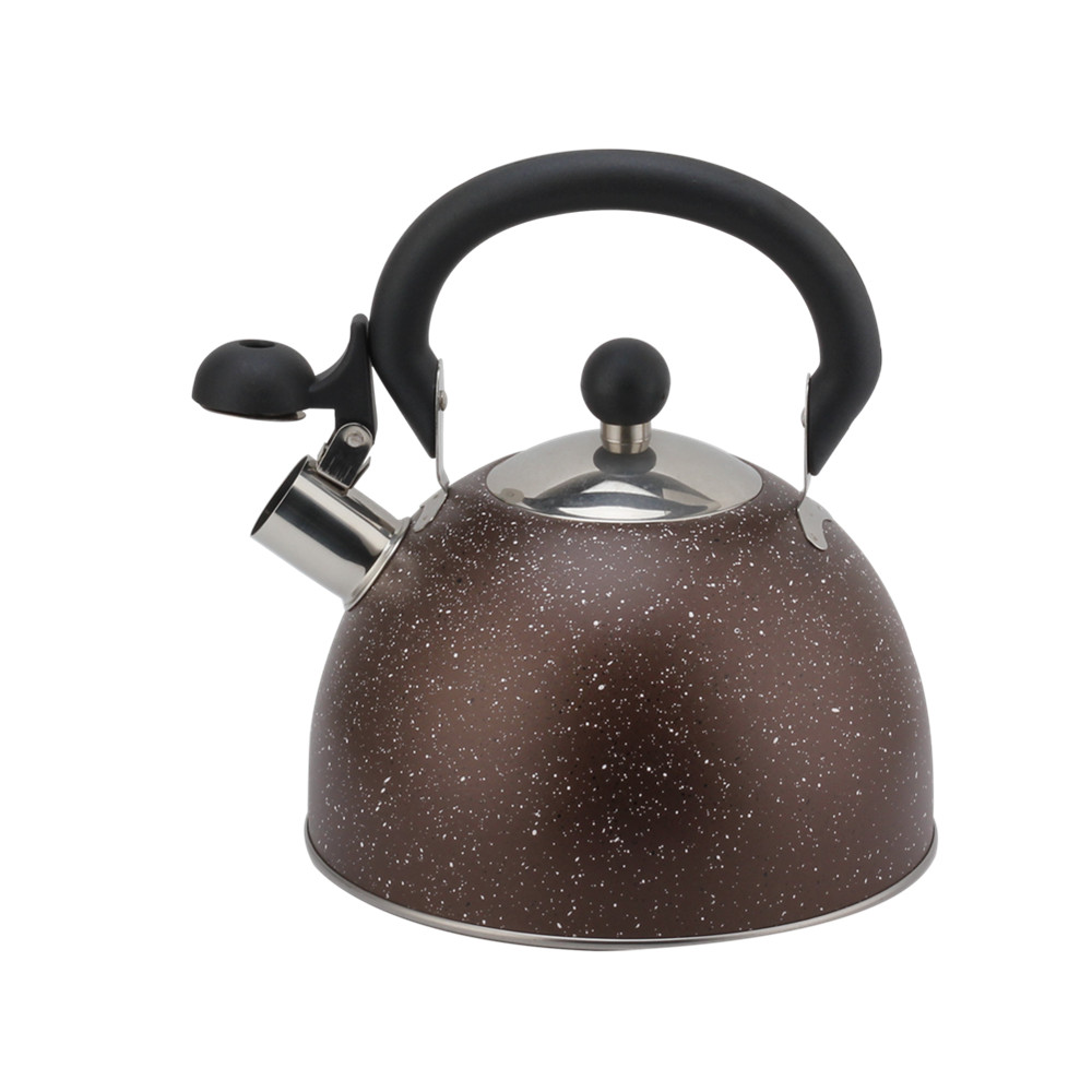 Conventional Stainless Steel Whistling Kettle ,Large Capacity