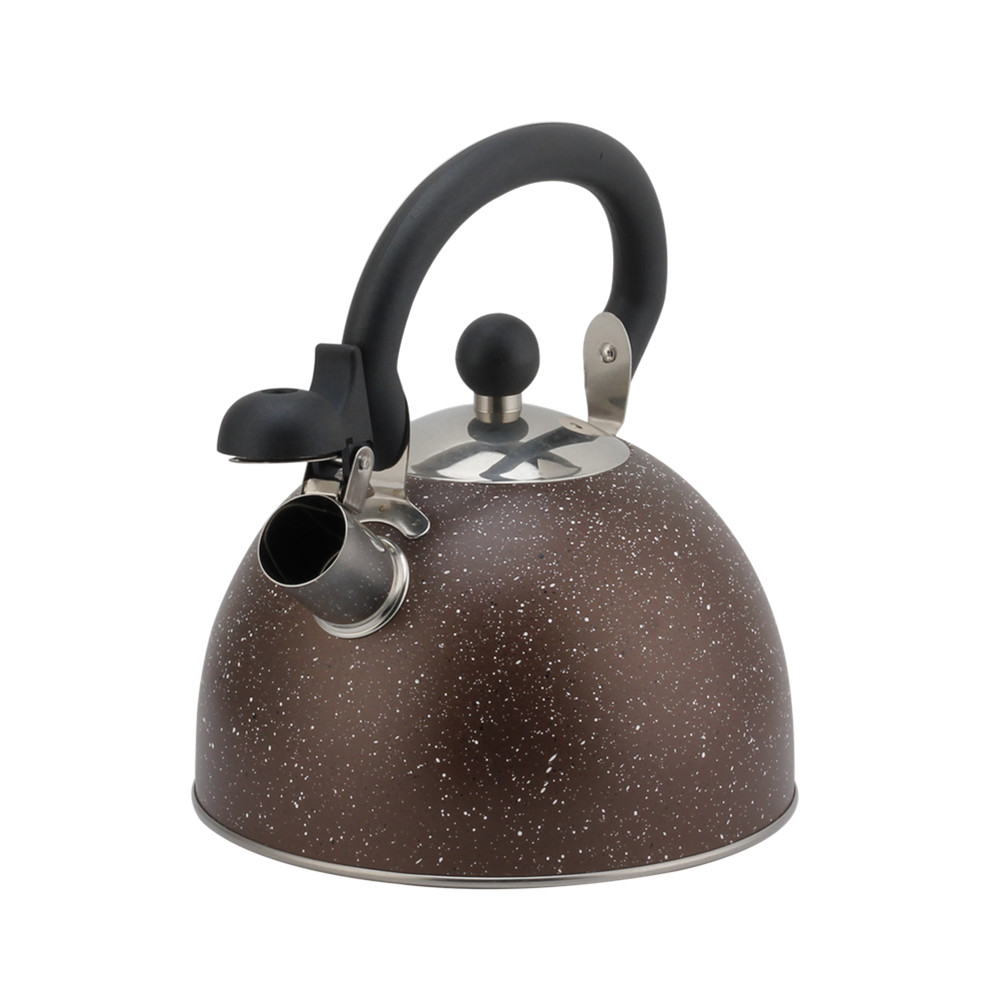 Conventional Stainless Steel Whistling Kettle ,Large Capacity