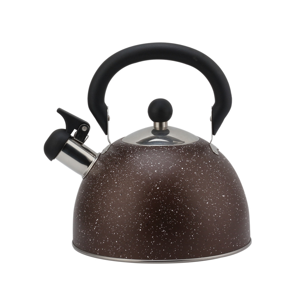 Conventional Stainless Steel Whistling Kettle ,Large Capacity