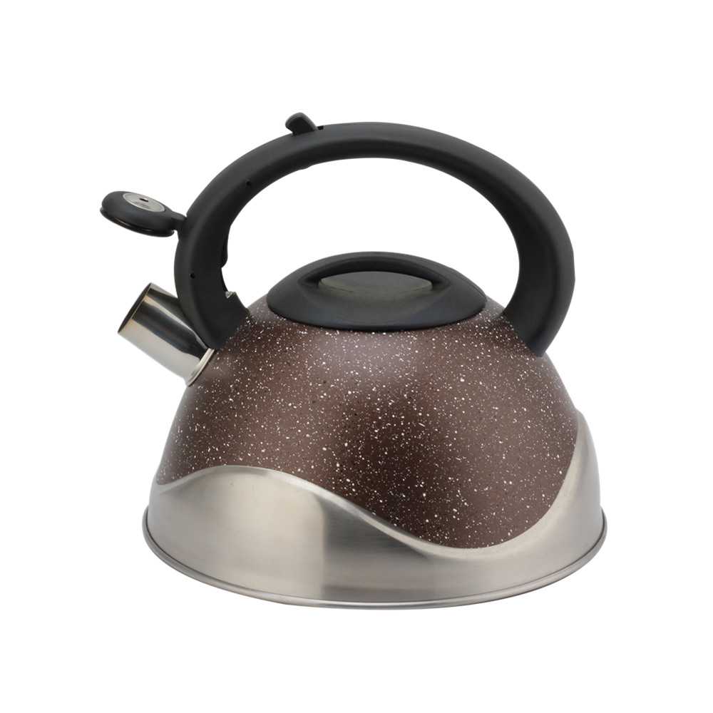 Stainless Steel Whistling Kettle, Ergonomic Handle