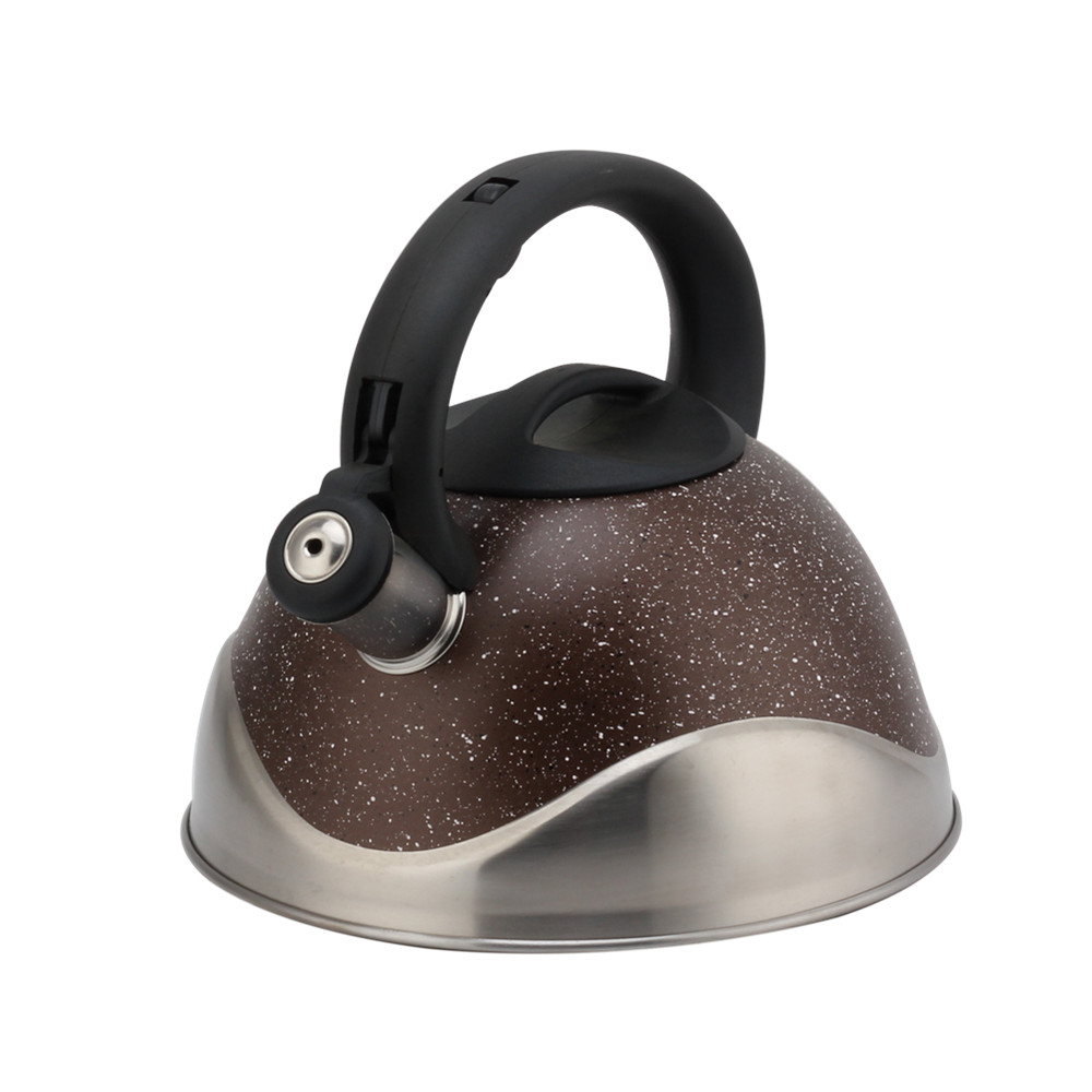 Stainless Steel Whistling Kettle, Ergonomic Handle