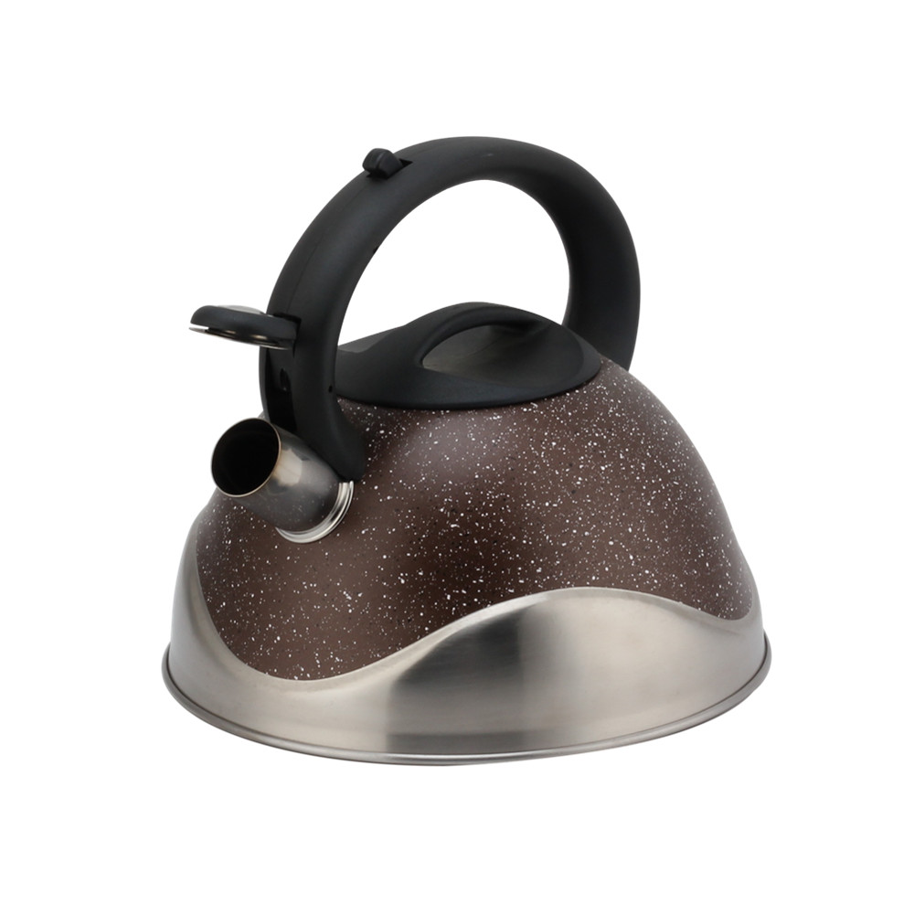 Stainless Steel Whistling Kettle, Ergonomic Handle