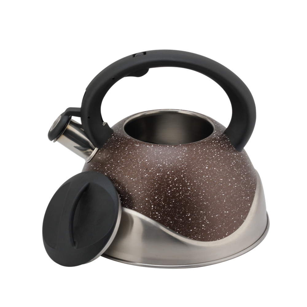 Stainless Steel Whistling Kettle, Ergonomic Handle