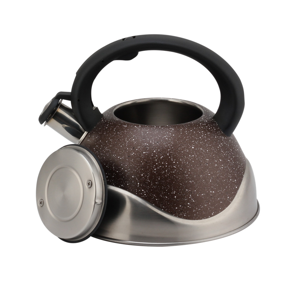 Stainless Steel Whistling Kettle, Ergonomic Handle