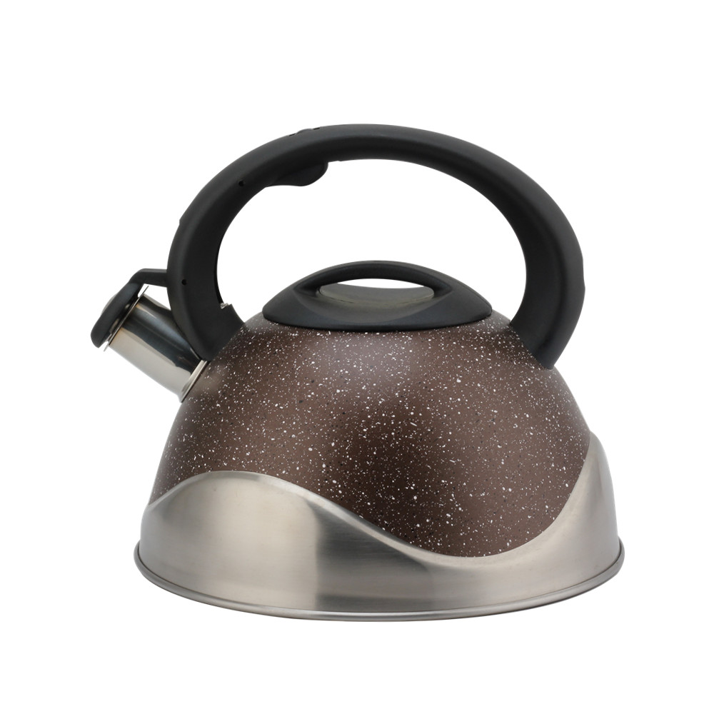 Stainless Steel Whistling Kettle, Ergonomic Handle