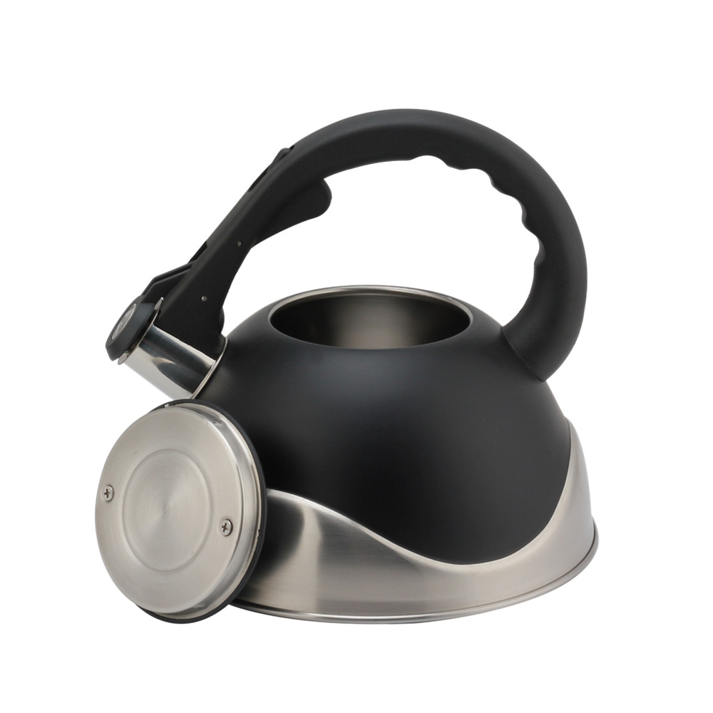 Stainless Steel Whistling Kettle, Ergonomic Handle, Black Color