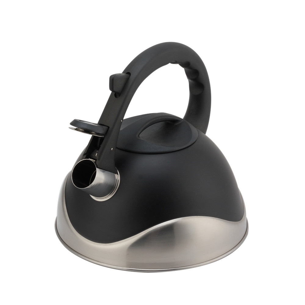 Stainless Steel Whistling Kettle, Ergonomic Handle, Black Color