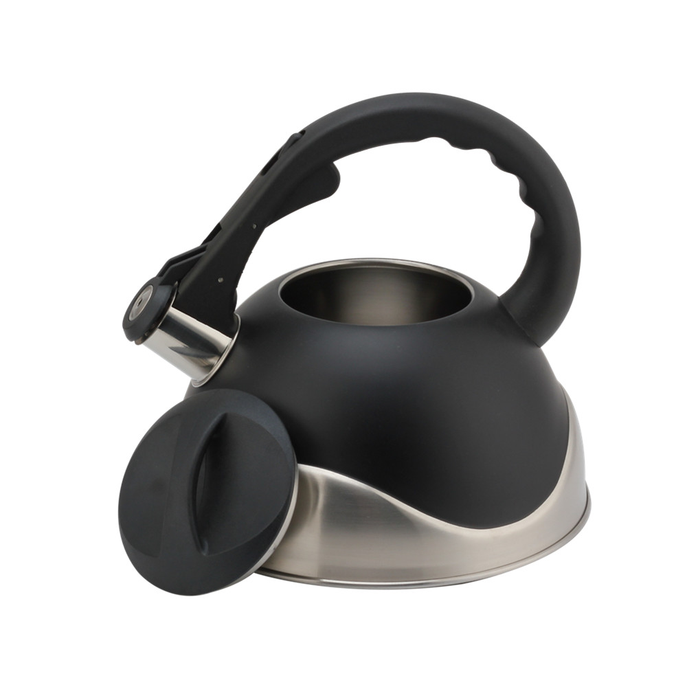 Stainless Steel Whistling Kettle, Ergonomic Handle, Black Color