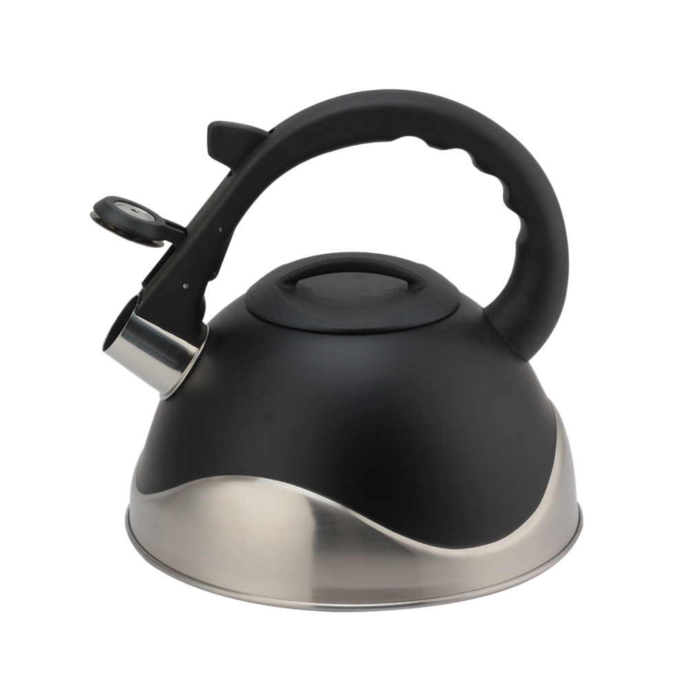 Stainless Steel Whistling Kettle, Ergonomic Handle, Black Color