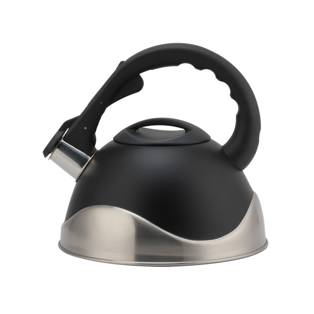 Stainless Steel Whistling Kettle, Ergonomic Handle, Black Color