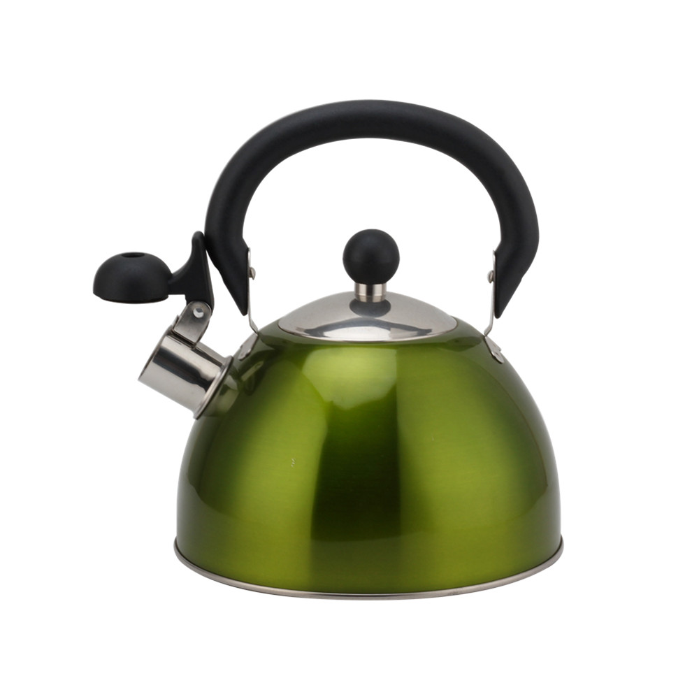 Stainless Steel Whistling Kettle, Ergonomic Handle, Green Color