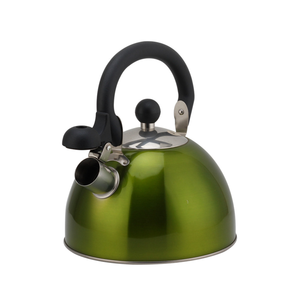 Stainless Steel Whistling Kettle, Ergonomic Handle, Green Color