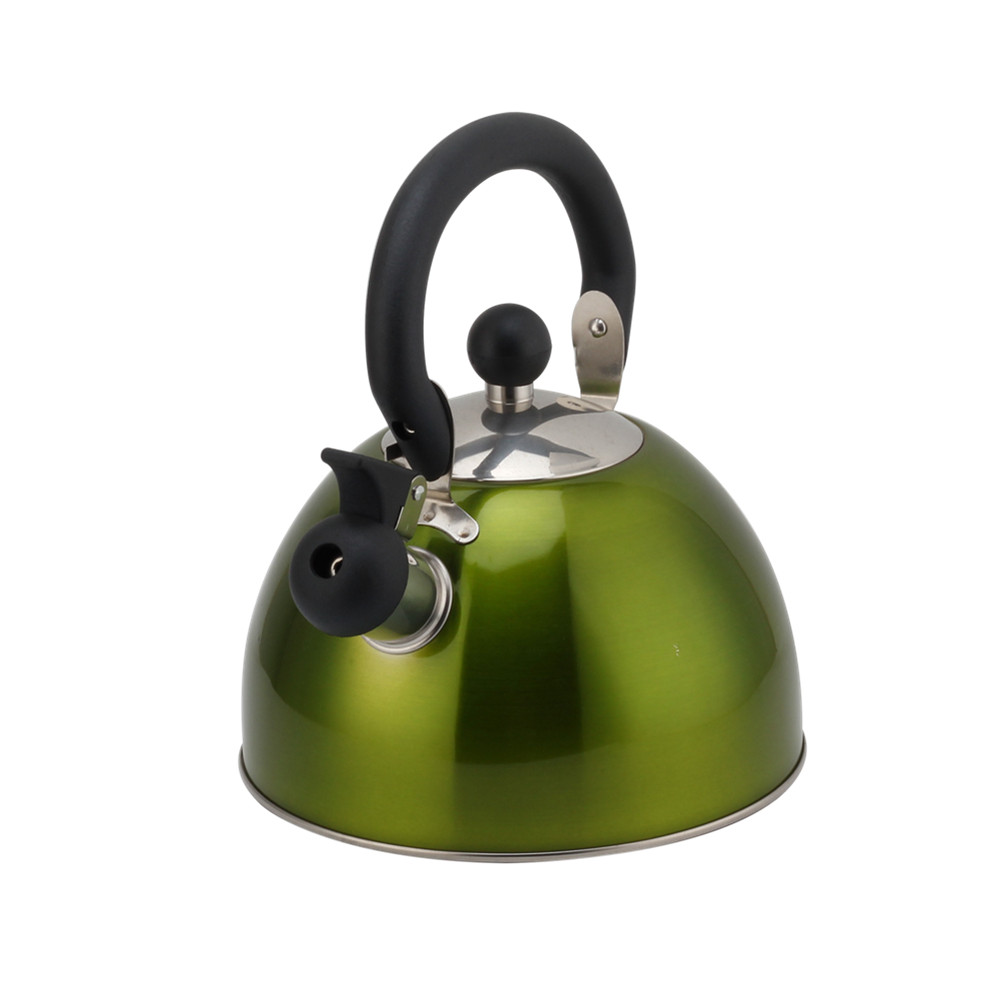 Stainless Steel Whistling Kettle, Ergonomic Handle, Green Color