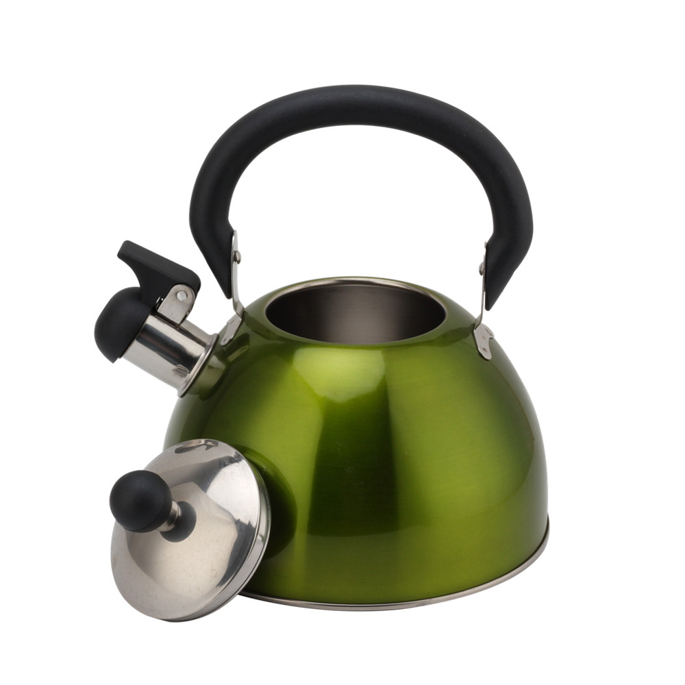 Stainless Steel Whistling Kettle, Ergonomic Handle, Green Color