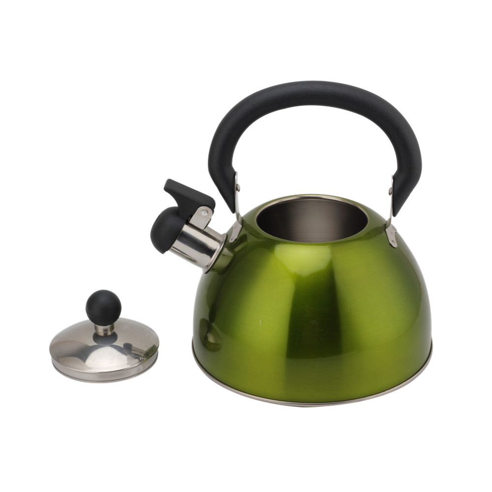 Stainless Steel Whistling Kettle, Ergonomic Handle, Green Color