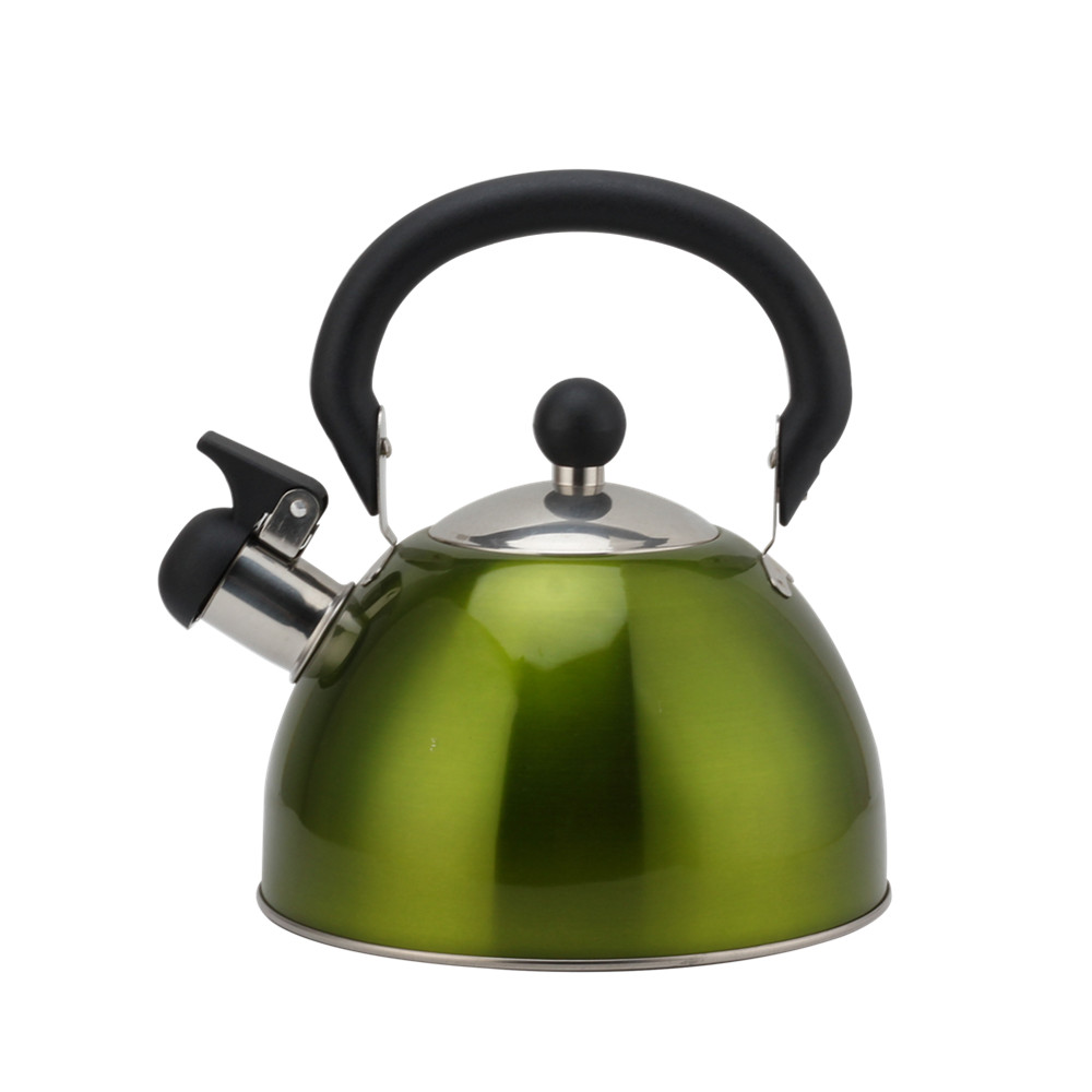 Stainless Steel Whistling Kettle, Ergonomic Handle, Green Color