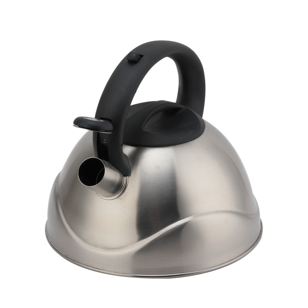 Stainless Steel Whistling Kettle, Ergonomic Handle, Silver Color