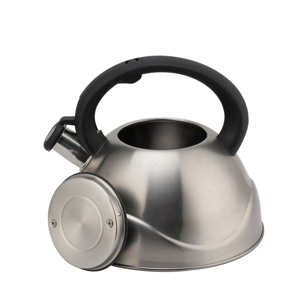 Stainless Steel Whistling Kettle, Ergonomic Handle, Silver Color