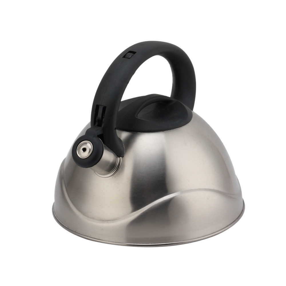 Stainless Steel Whistling Kettle, Ergonomic Handle, Silver Color