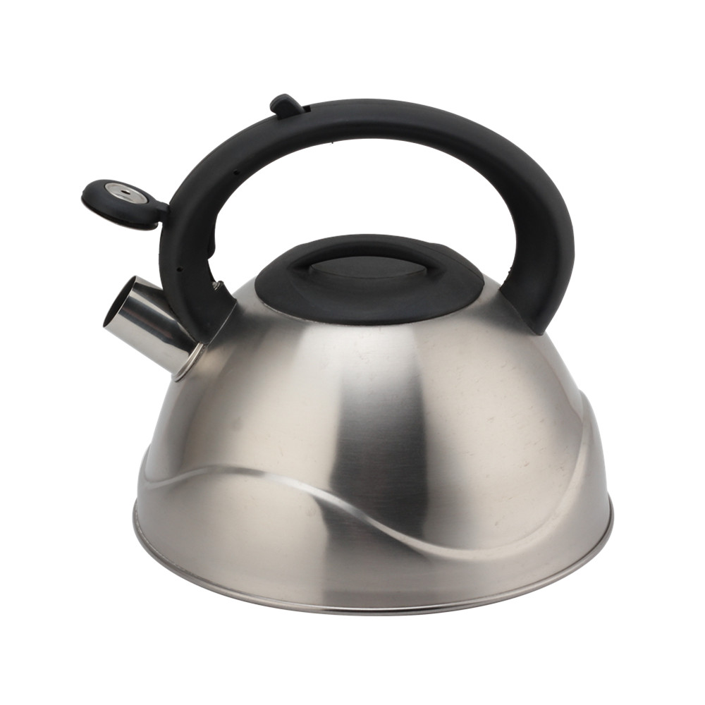 Stainless Steel Whistling Kettle, Ergonomic Handle, Silver Color