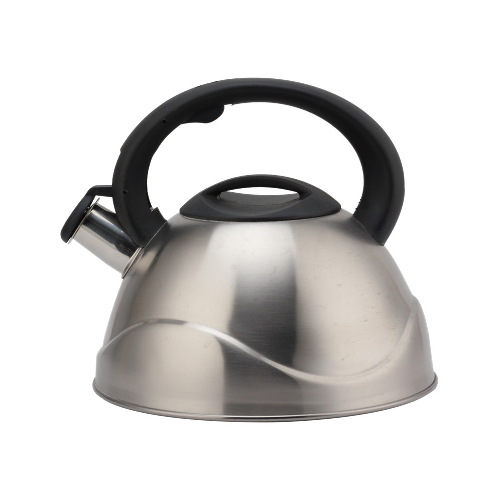 Stainless Steel Whistling Kettle, Ergonomic Handle, Silver Color