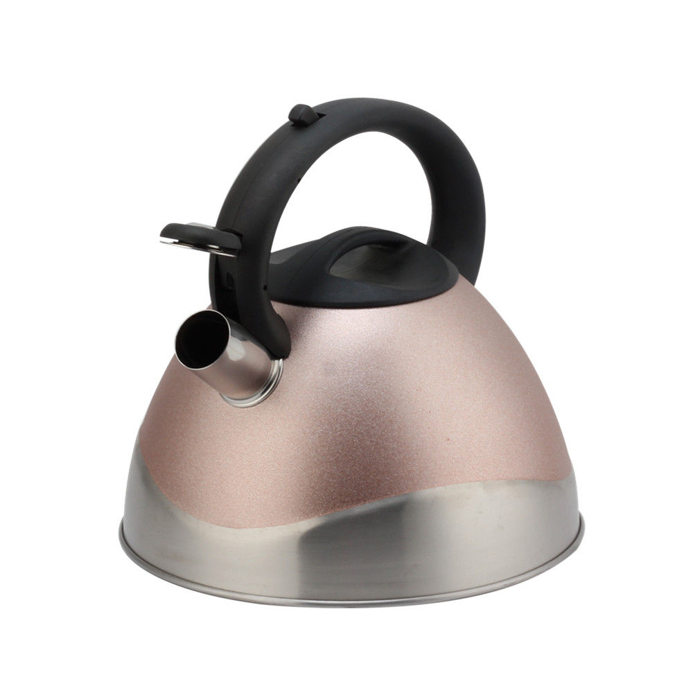 Modern Stainless Steel Whistling Kettle, Ergonomic Handle