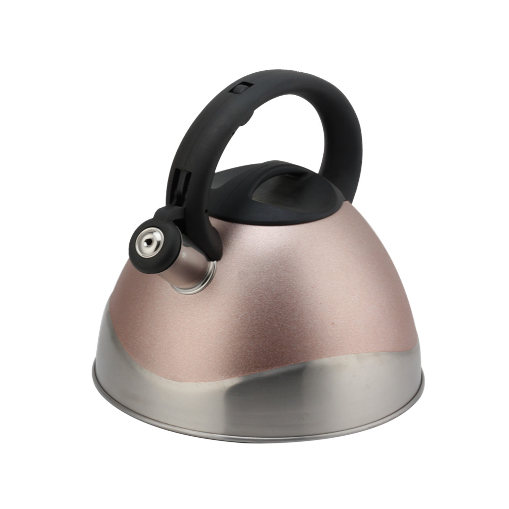 Modern Stainless Steel Whistling Kettle, Ergonomic Handle